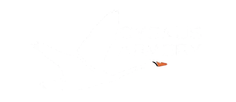 Cygnus Armory
